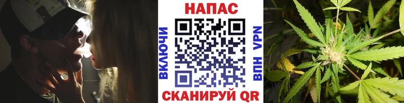 Купить закладки  Кировск  Каннабис планчик 